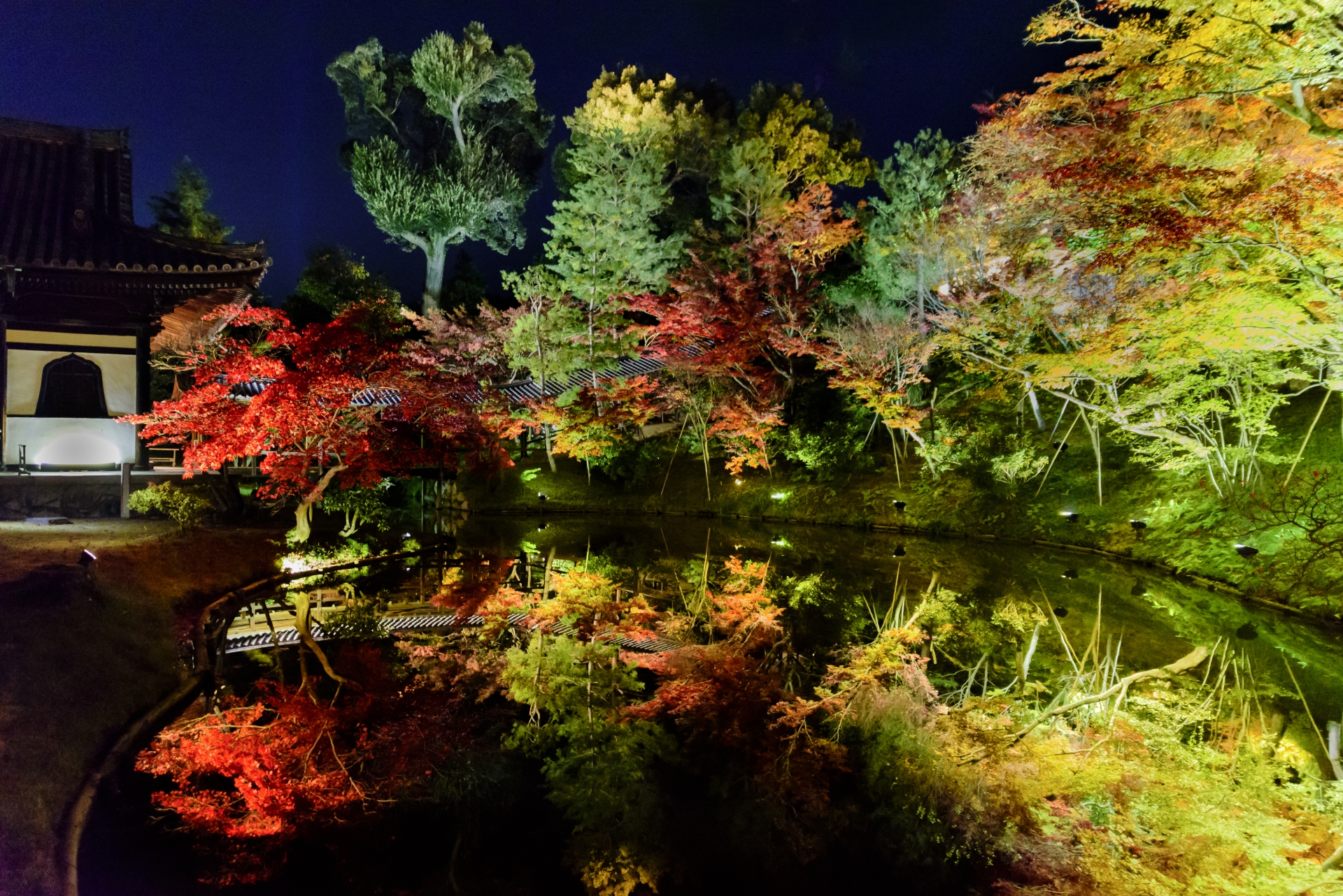 高台寺（ライトアップ）